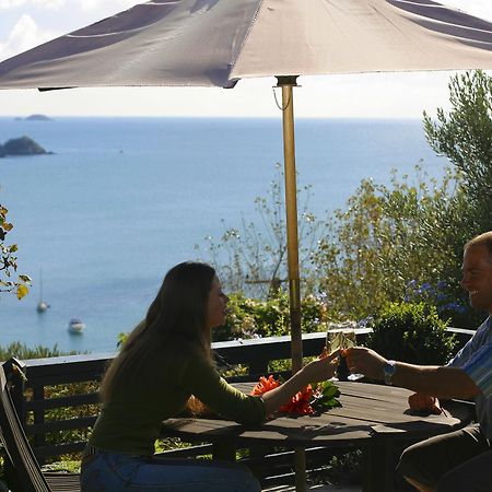 Waiheke Island Tawa Lodge - Adults Only Oneroa Exterior photo